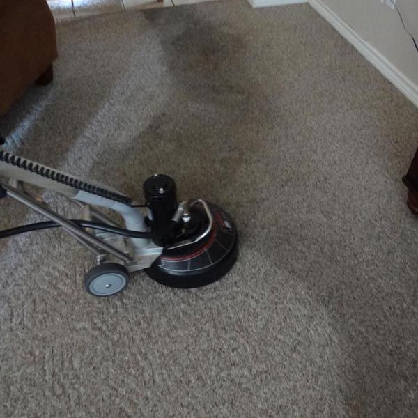 Carpet Cleaning in Orangefield