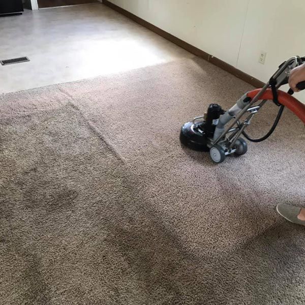 Carpet Cleaning in Groves Example