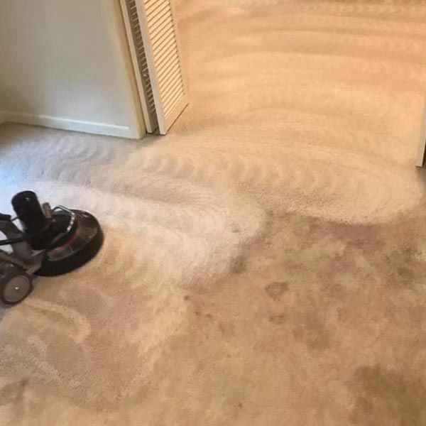 Professional Carpet Cleaning in Vidor
