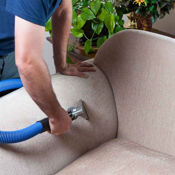 Upholstery Cleaning in Groves