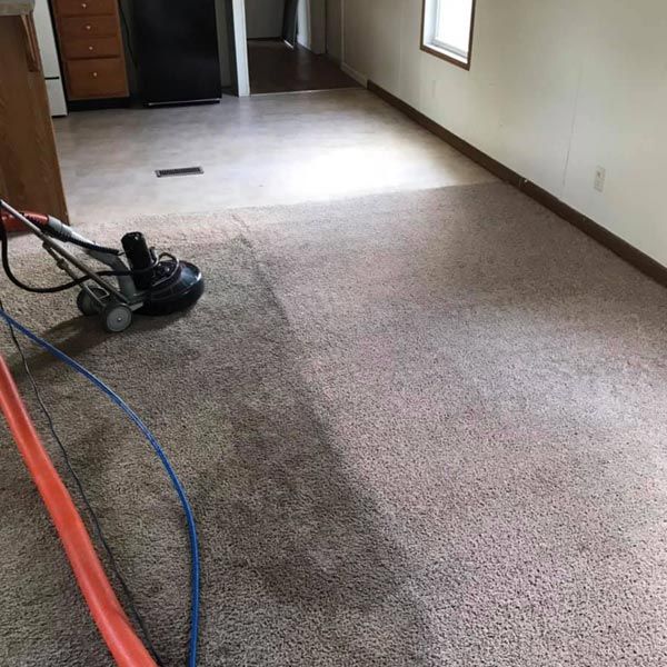 Reel Xtreme Steam Carpet Cleaning