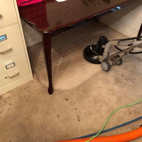 Professional Carpet Cleaning in Orange