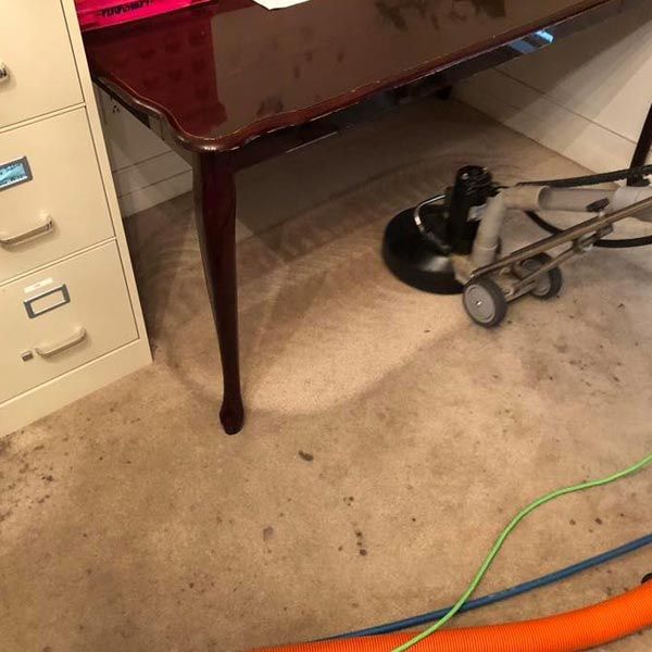 Professional Carpet Cleaning in Nederland