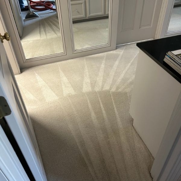 Carpet Cleaning Results 4